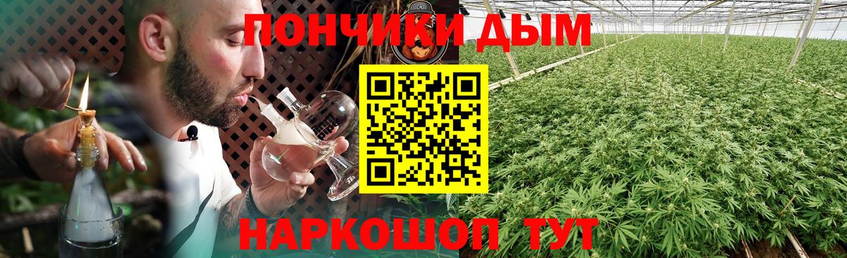 Бошки марихуана план  Шишки марихуана индика  Вход с VPN  Саки 